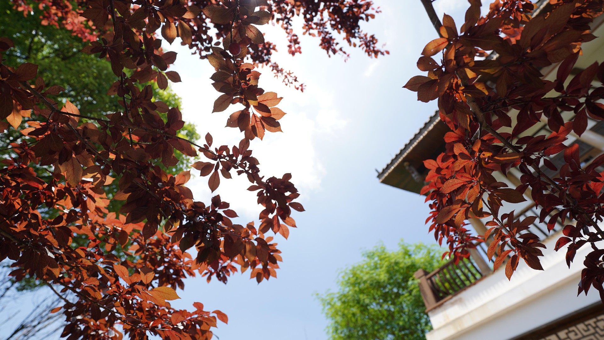 ���������������Ԫ�������壩�Ĺٷ���֤